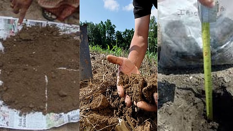 Soil sampling for soil testing