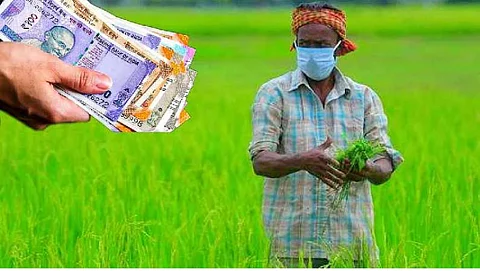 Crop loan