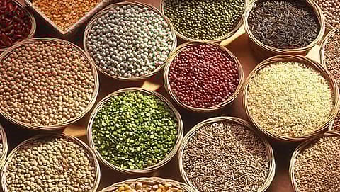 Millet Year 2023
