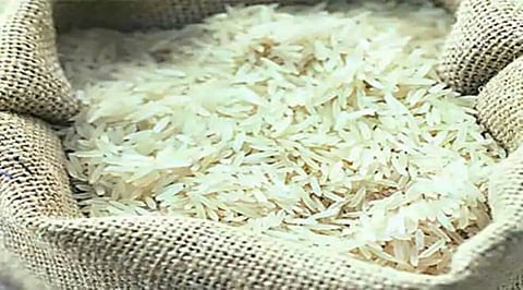 Rice