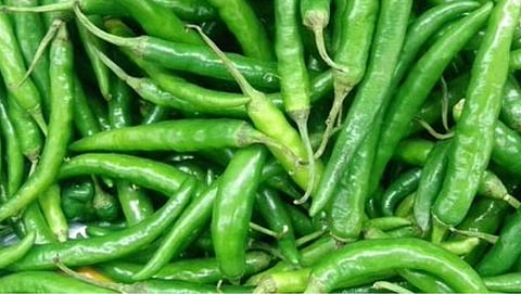 Green chili