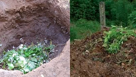How to make Compost