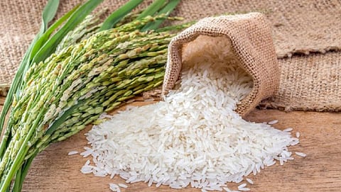 Non-Basmati White Rice