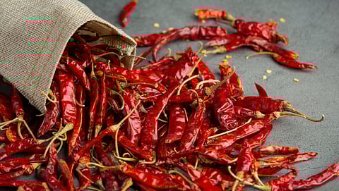 Pakistan Chilli production