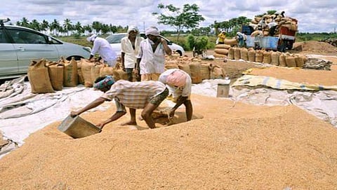 Paddy Procurement