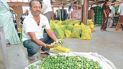 Lemon Market