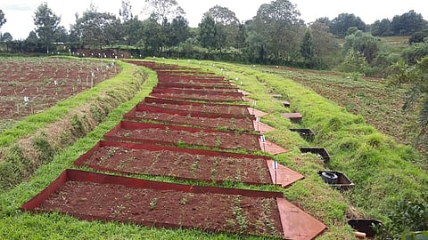 Soil And Water Conservation
