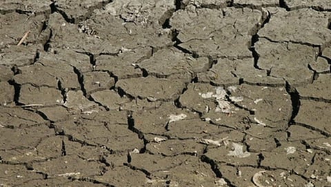 Chopan land information