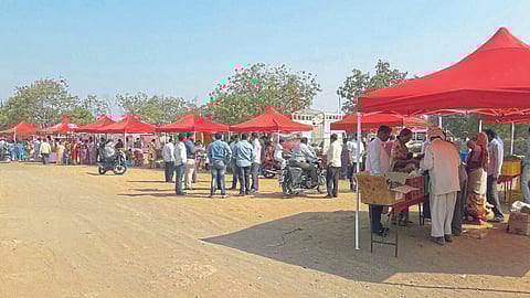 Farmer Producer Companies