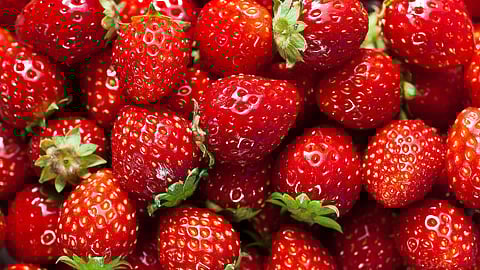 Strawberries