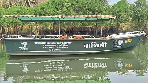 Kandalwan Safari