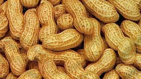 Groundnuts