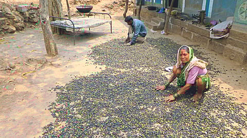 Balhirada Procurement