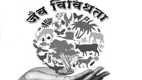 Biodiversity