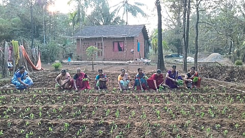 Agriculture Schemes For Woman