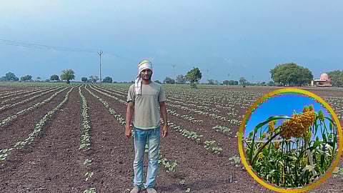 कापूस, दादर ज्वारीसह भादलीची दुग्धोत्पादनात ओळख