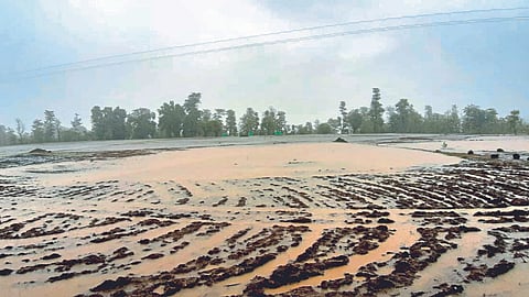 Rain Update