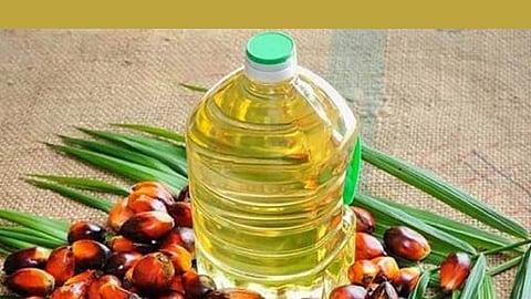 Palm Oil