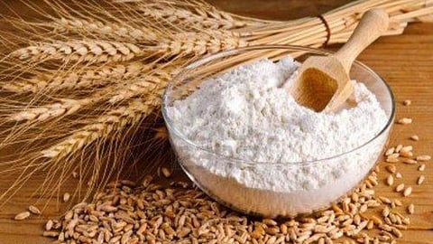 Wheat Export