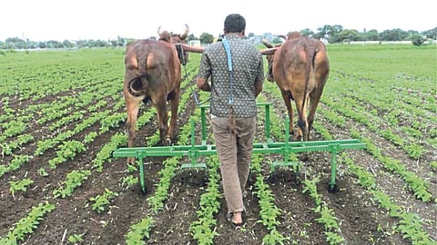 Agriculture Technology