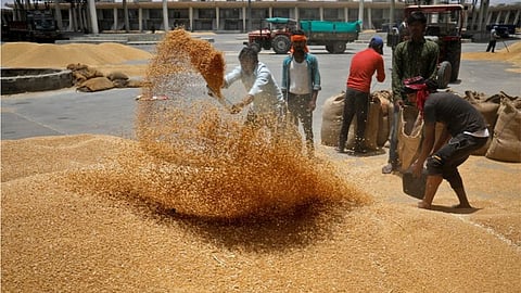 Wheat Export Ban