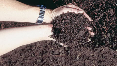 Organic Carbon