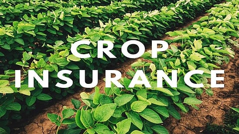 Crop Insurance