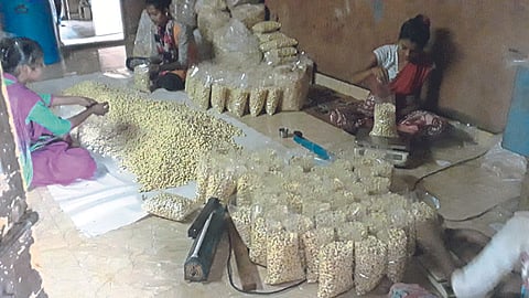 Cashew Processing
