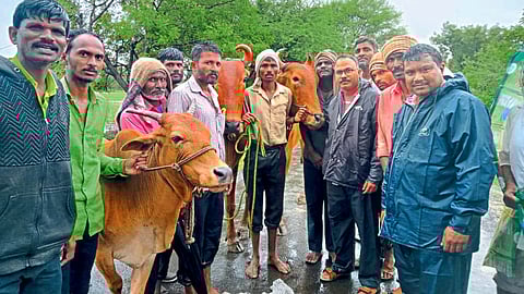 Heavy Rain, Bhandara News, Vidharbha News, Monsoon news