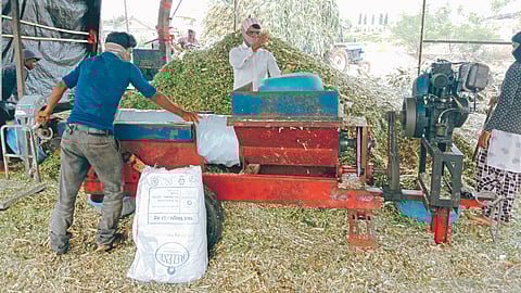 Silage Production