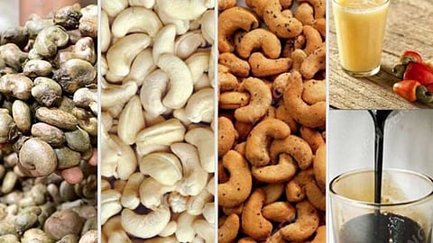 Cashew Processing Industry