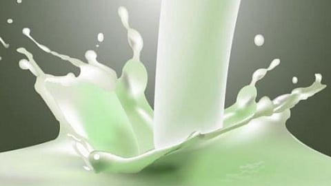 Toned And Double Toned Milk