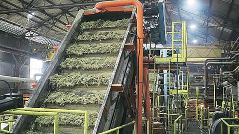 Sugar Mills