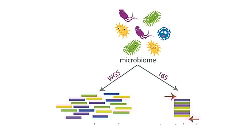 Agriculture Technology