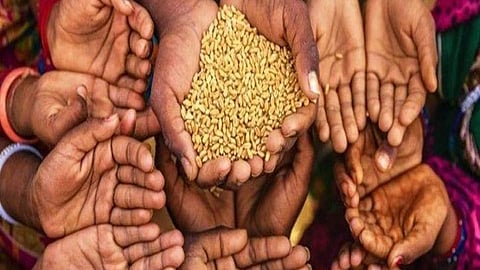 Food Crisis