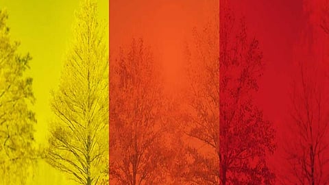 Weather Updates, monsoon alerts meaning, Red, Orange, yellow alert meaning