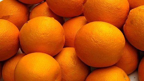 oranges