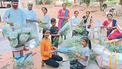 Floriculture