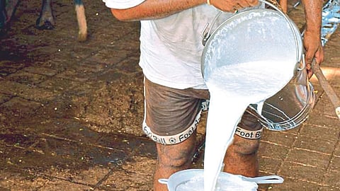 MIlk