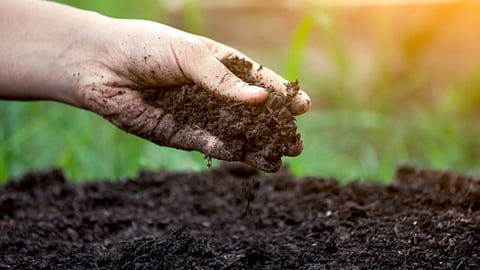 Soil Erosion