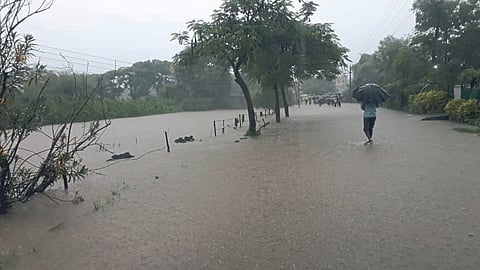 Rain