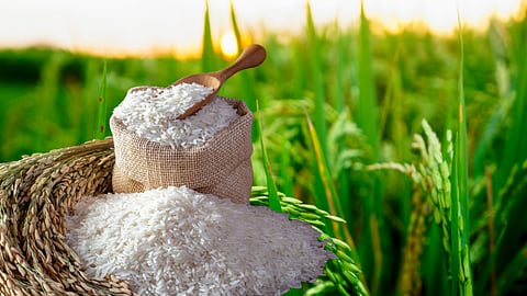 Indrayani Rice