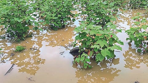 Heavy Rainfall