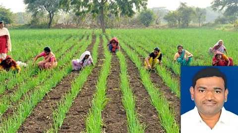 Group Farming