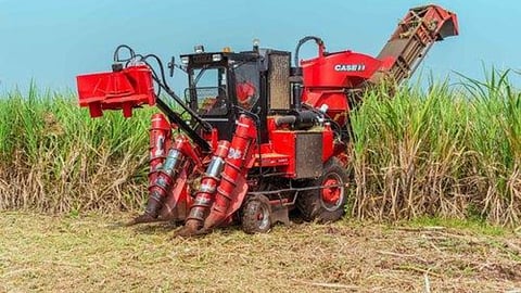Sugarcane cutting machine