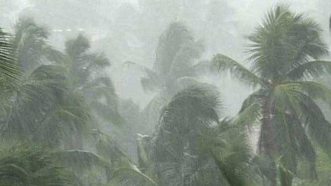 Rain Alert