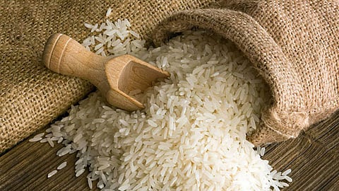 Basmati Rice