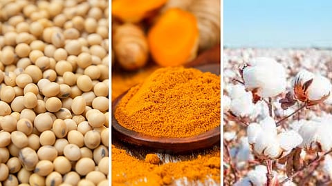 Soybean : सोयाबीन, कापूस, हळदीत उतरता कल
