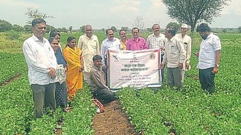 Maza Ek Divas Balirajasathi Campaign