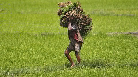 Government Aid